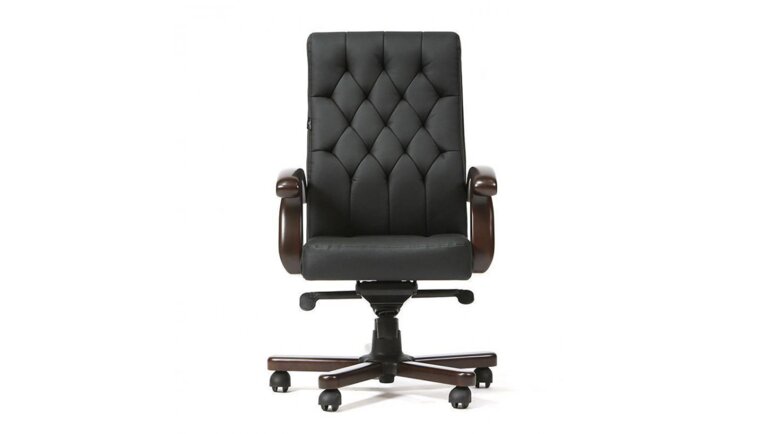 Кресло для руководителя Боттичелли DB-13M